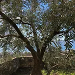 Sunny With Panoramic View * Rijeka
